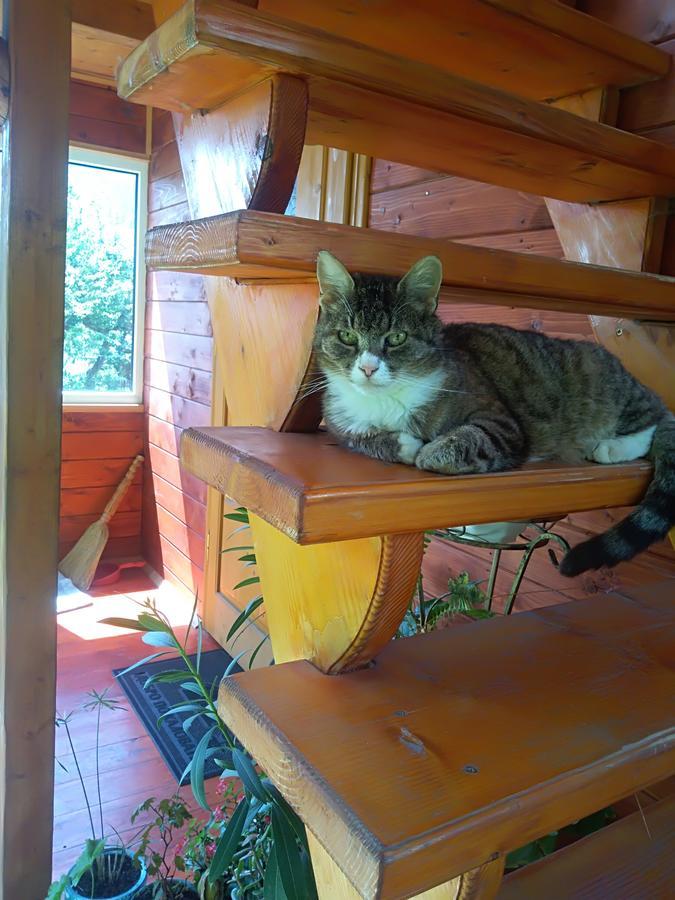 Котедж "Барвінок" Verkhovyna Buitenkant foto