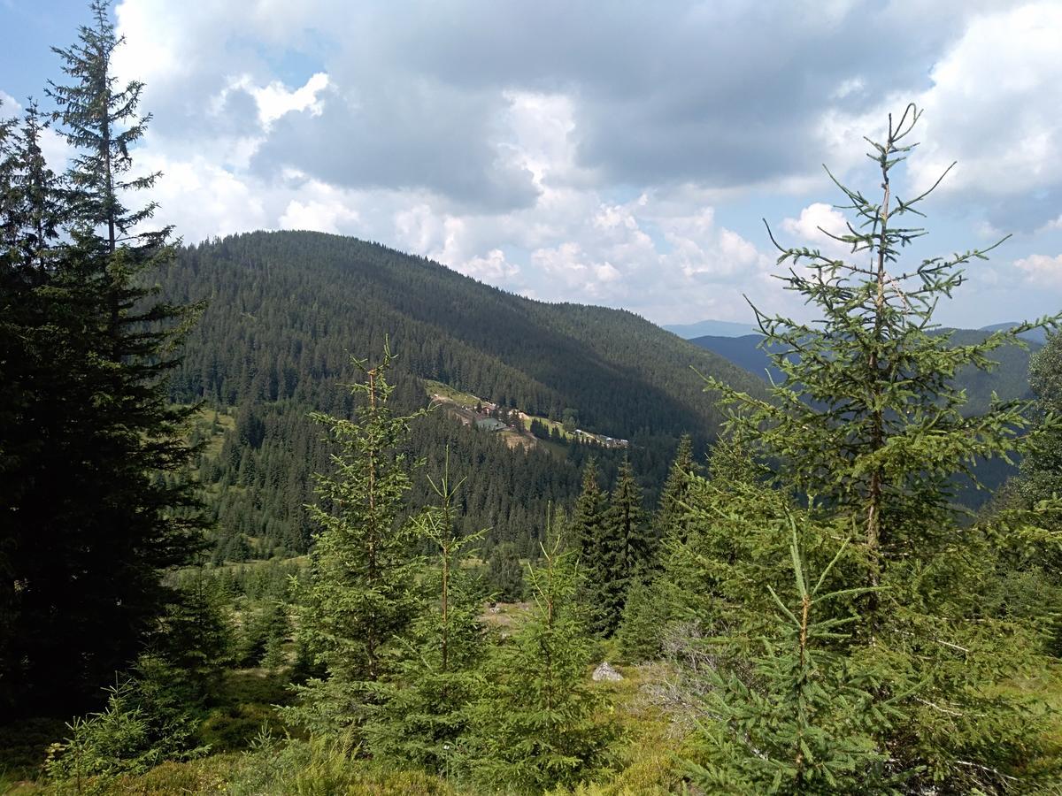Котедж "Барвінок" Verkhovyna Buitenkant foto