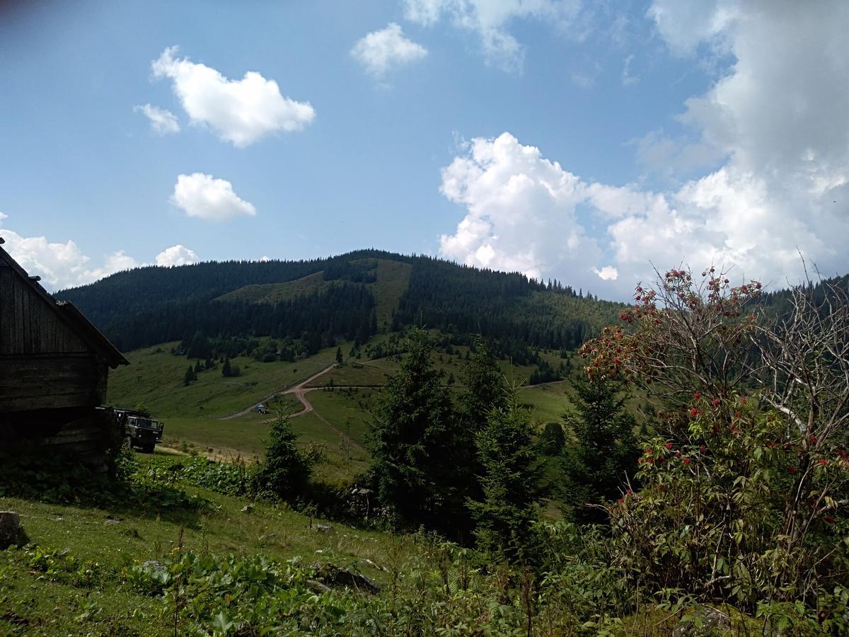 Котедж "Барвінок" Verkhovyna Buitenkant foto